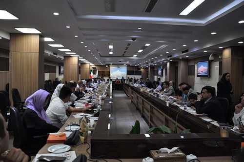 攜手中東，共創未來 云南商務代表團赴阿聯酋、沙特、伊朗開拓經貿合作新篇章